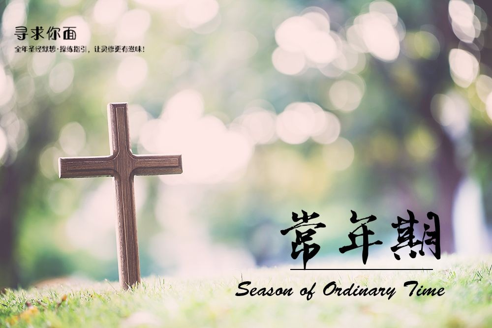 【寻求你面】常年期第17周5天