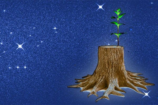【林牧默想】谁说寒冬之后的大地不能展现一片青翠？
